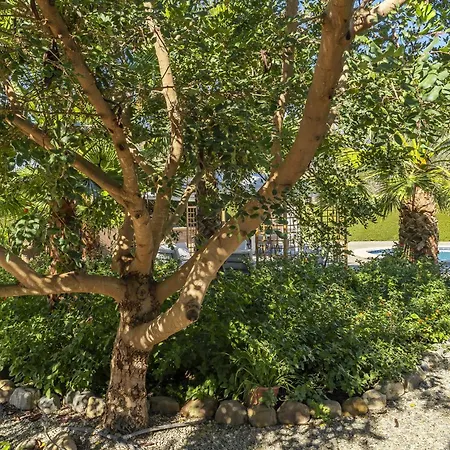 Cubo's River Side House Tatil Evi
